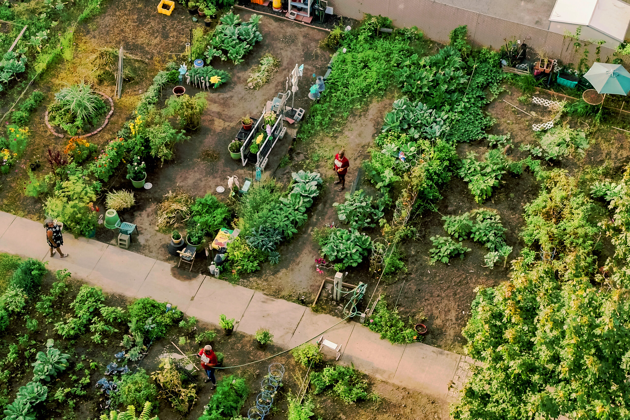Greenwood Community Gardens drone image