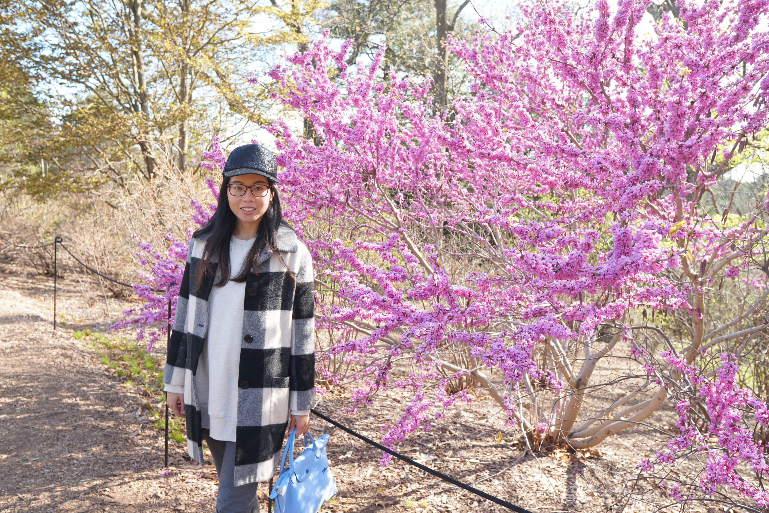 Yaqing Zhang in front of a blooming purple flower tree.