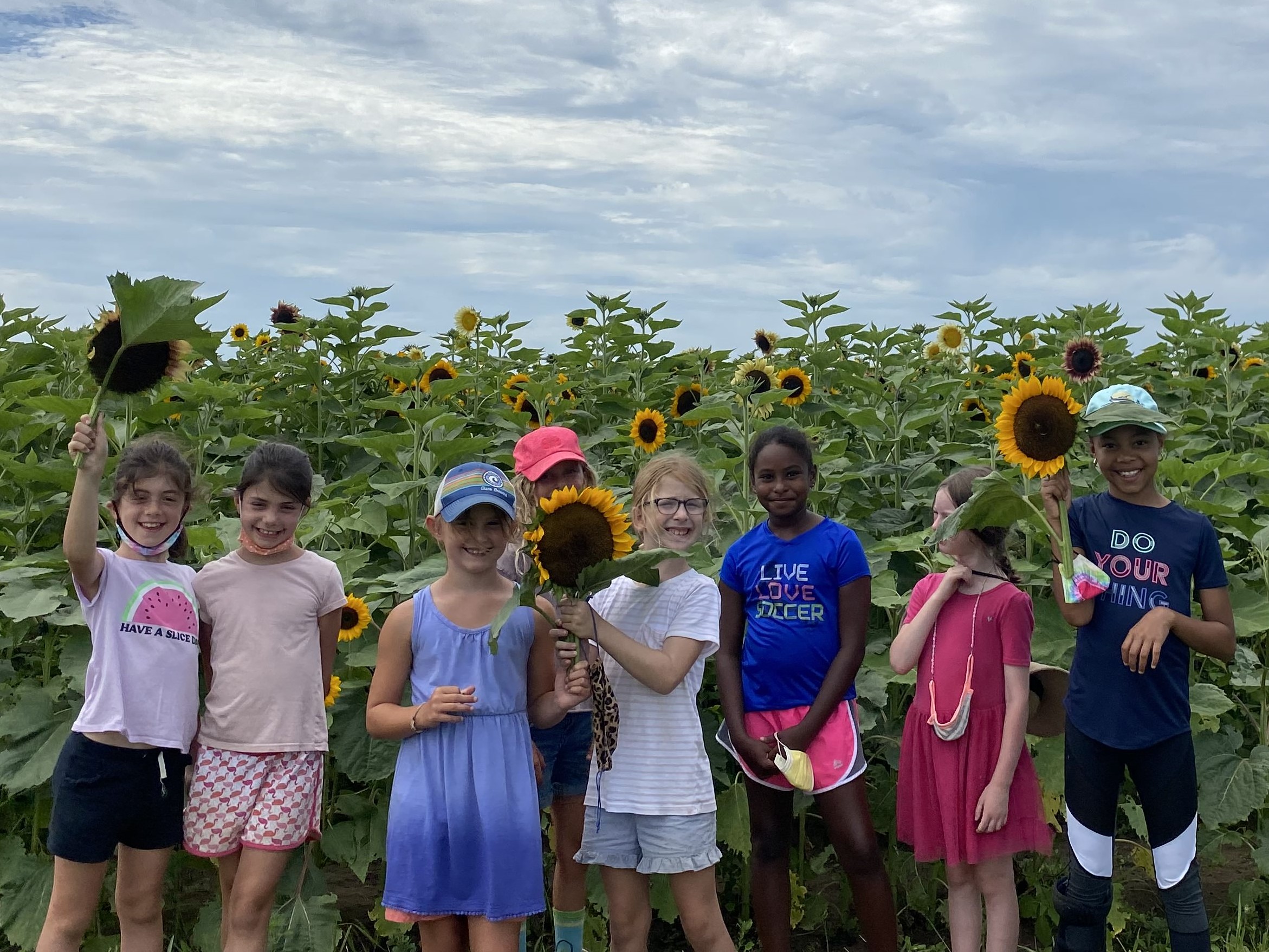 Multiple children pose in front of a sunflower field.
