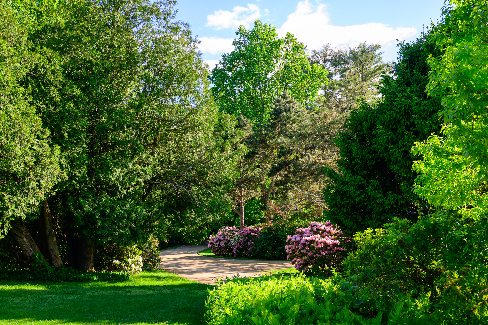 Moraine Farm's carriage paths