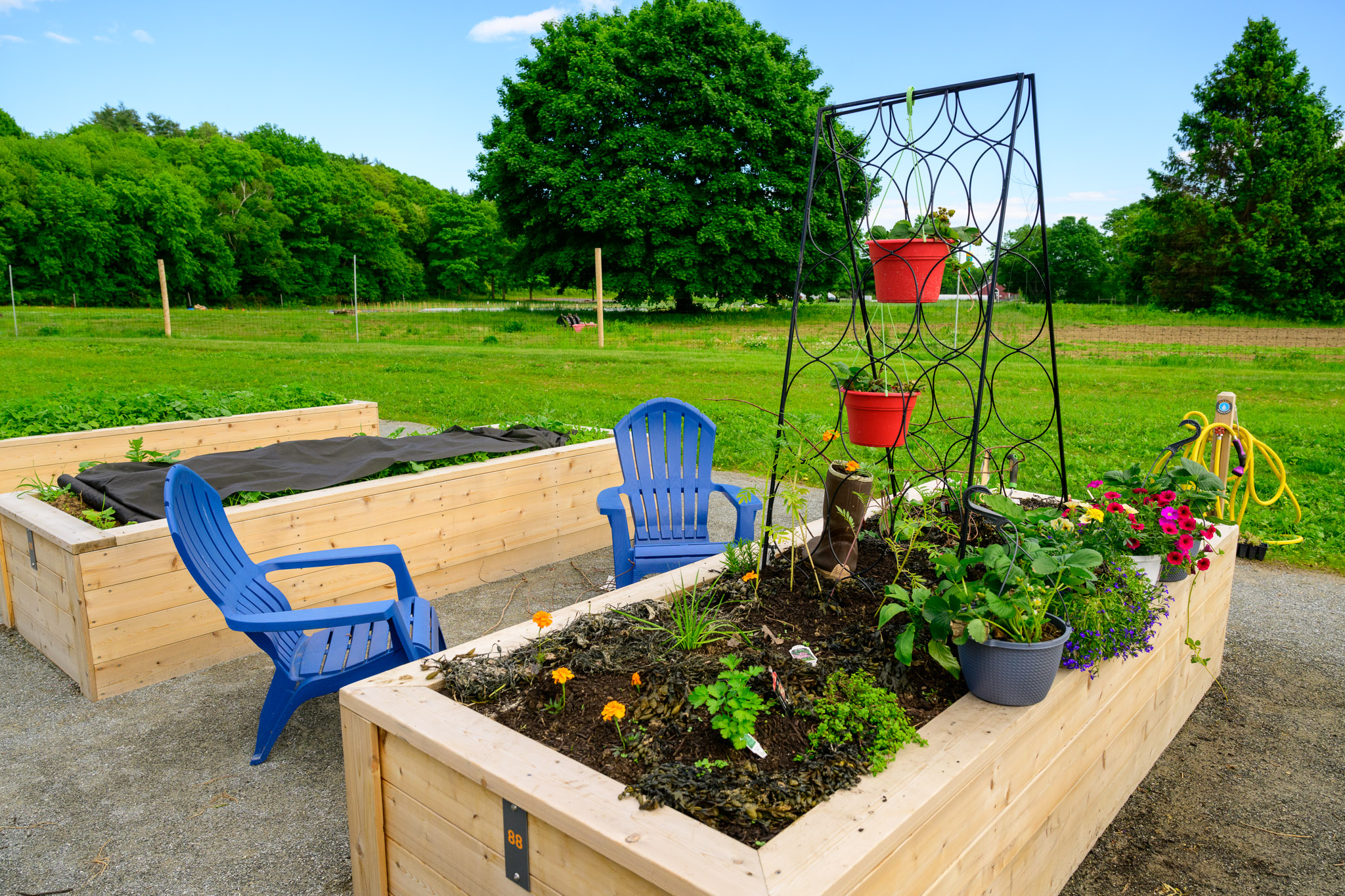 Moraine Farm's Beverly Community Garden