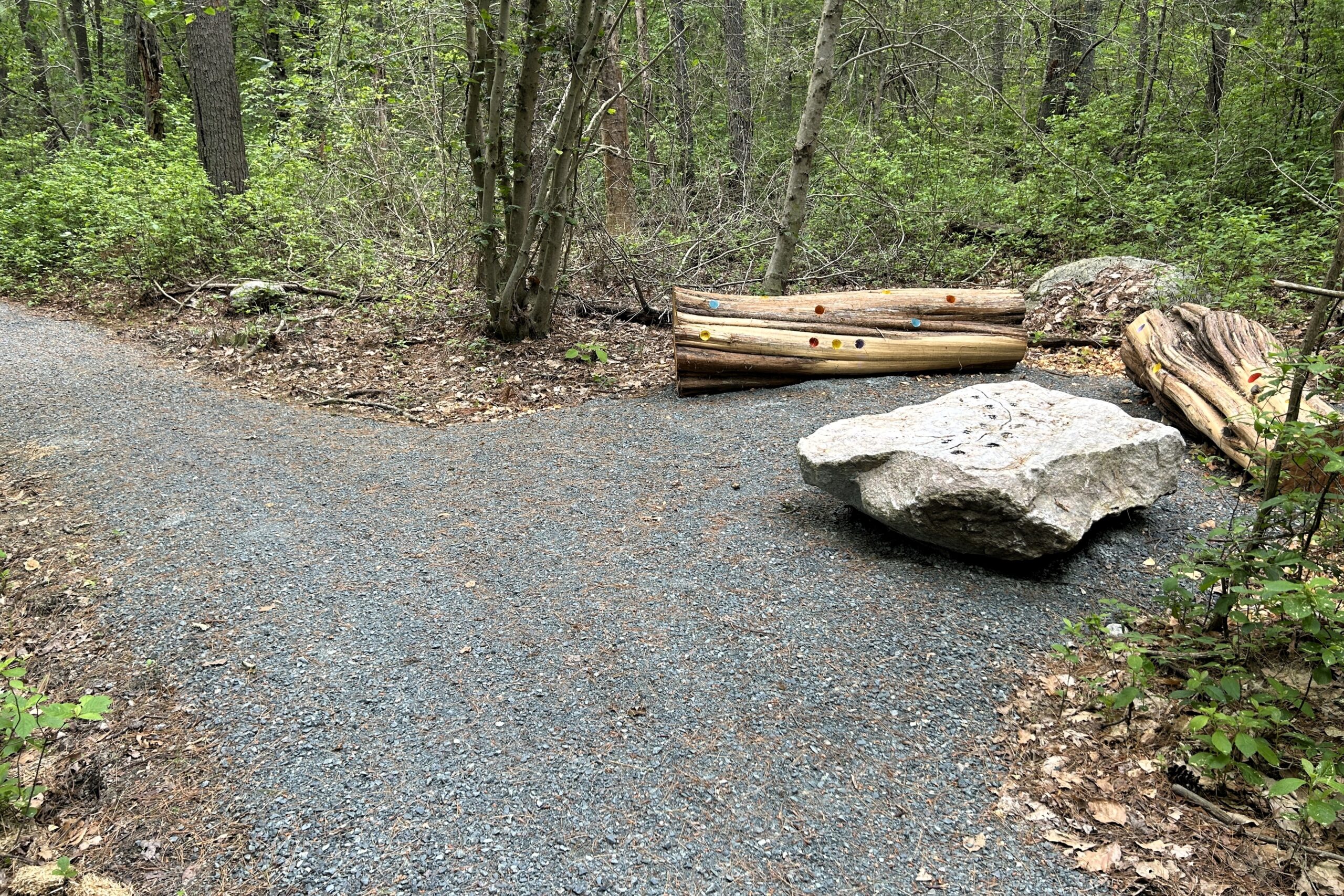 A Curious Find Station along the Discovery Trail at Copicut Woods in Fall River.