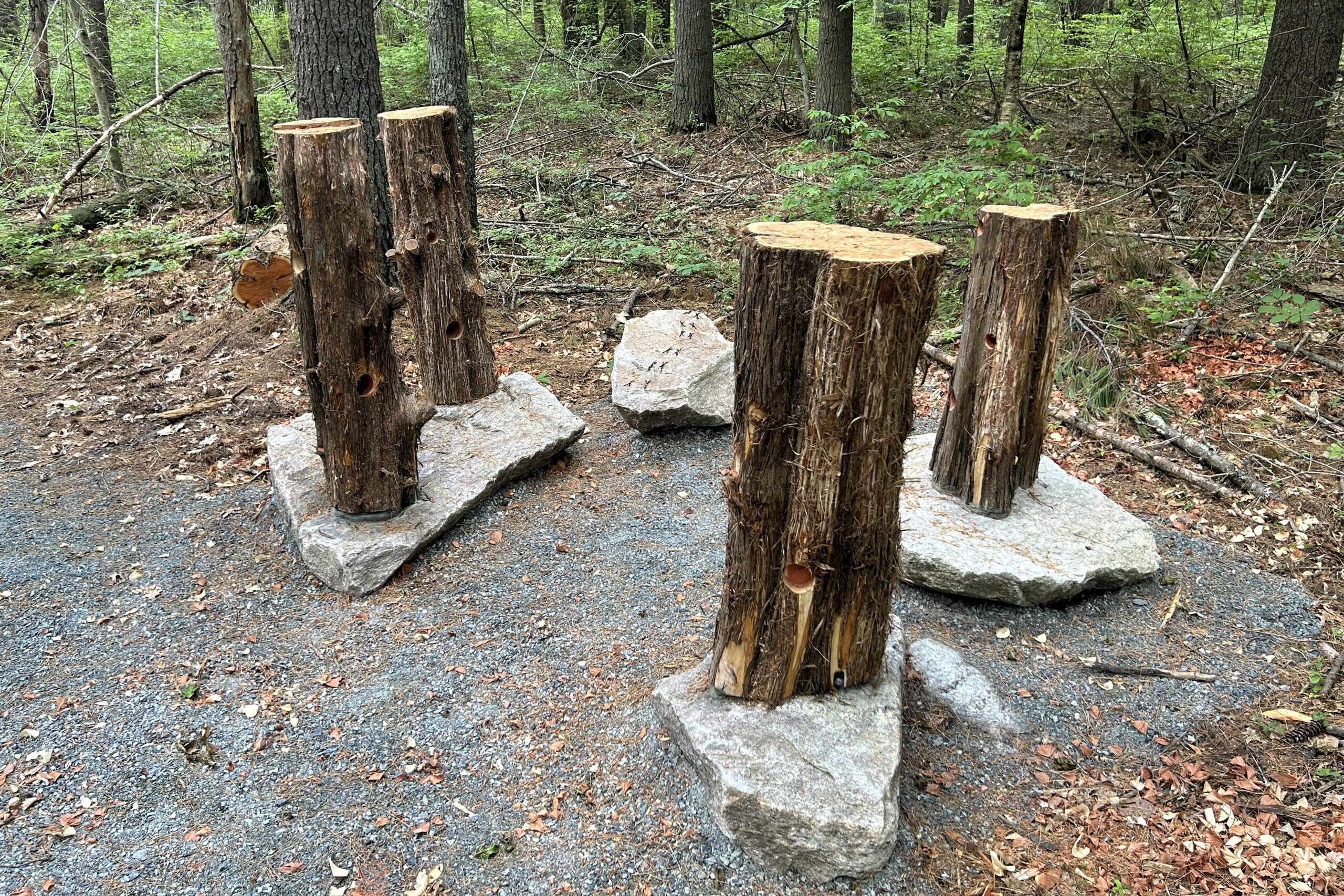 A Curious Find Station along the Discovery Trail at Copicut Woods in Fall River.