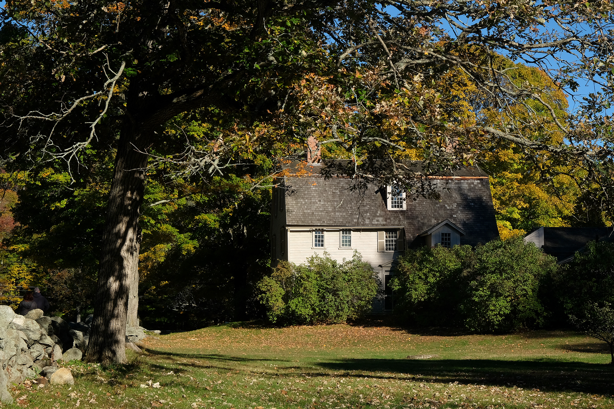 A white house with a tree, green bushes, and a green grassy area.
