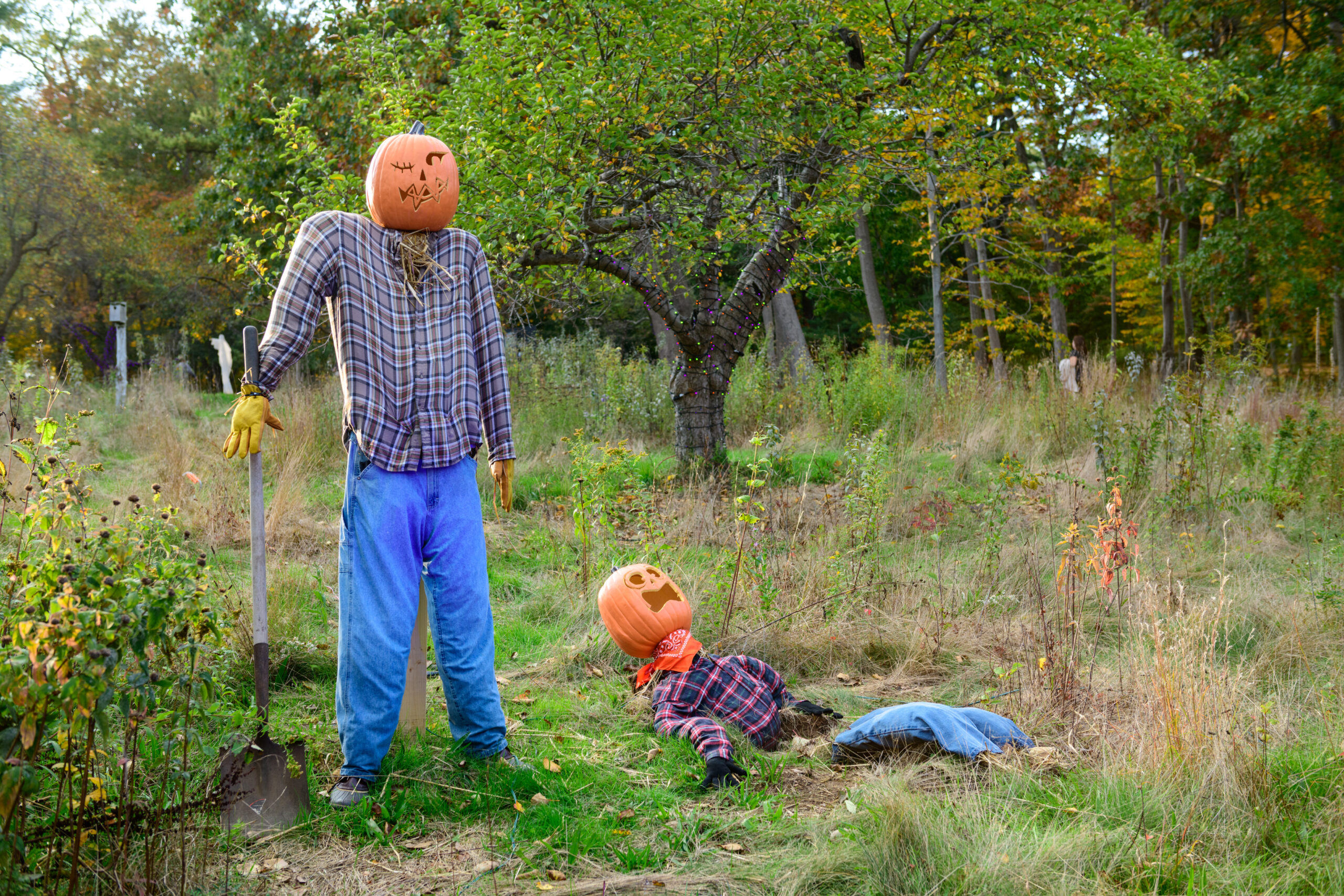 Two scarecrows with jack-o-lanterns for heads decorate a field of grass during a Trustees Halloween event.