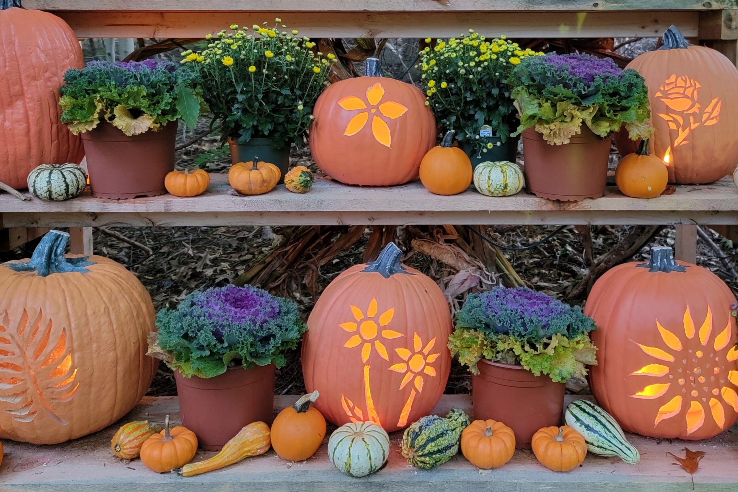 A display of sustainable funkins at a Trustees Halloween event.