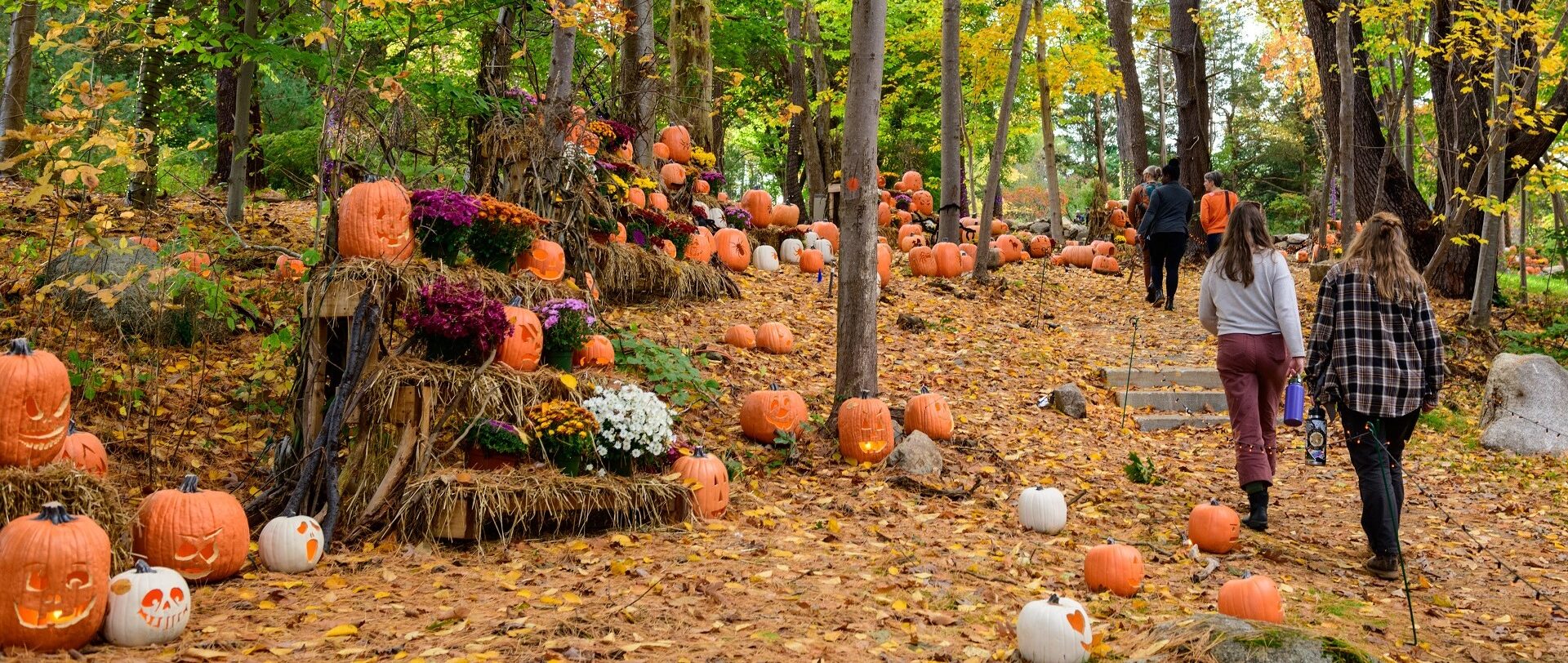 Visitors walk by displays of jack-o-lanterns through the woods during a Trustees Halloween event.