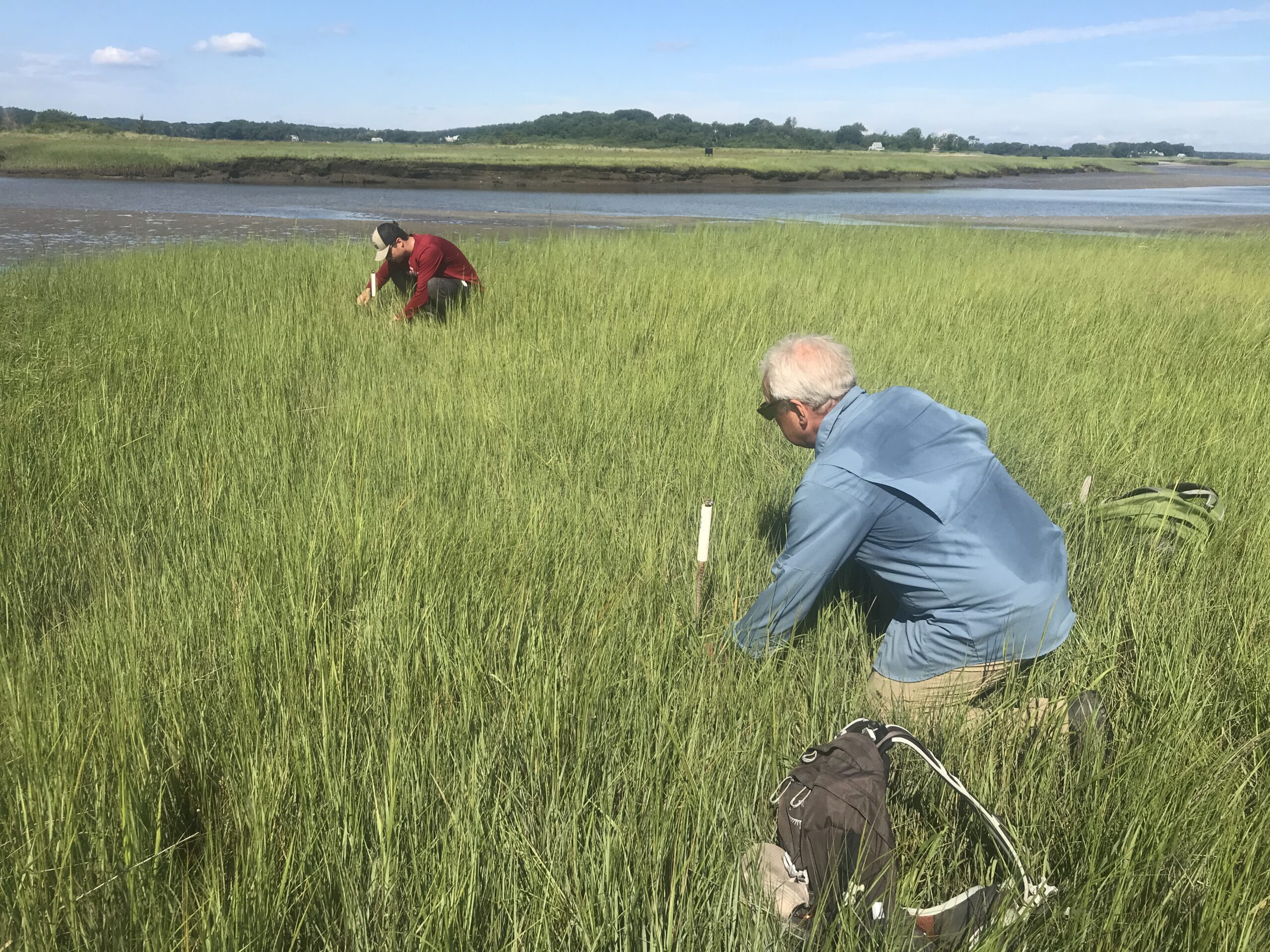 Two people with their backs turned work within the Great Marsh