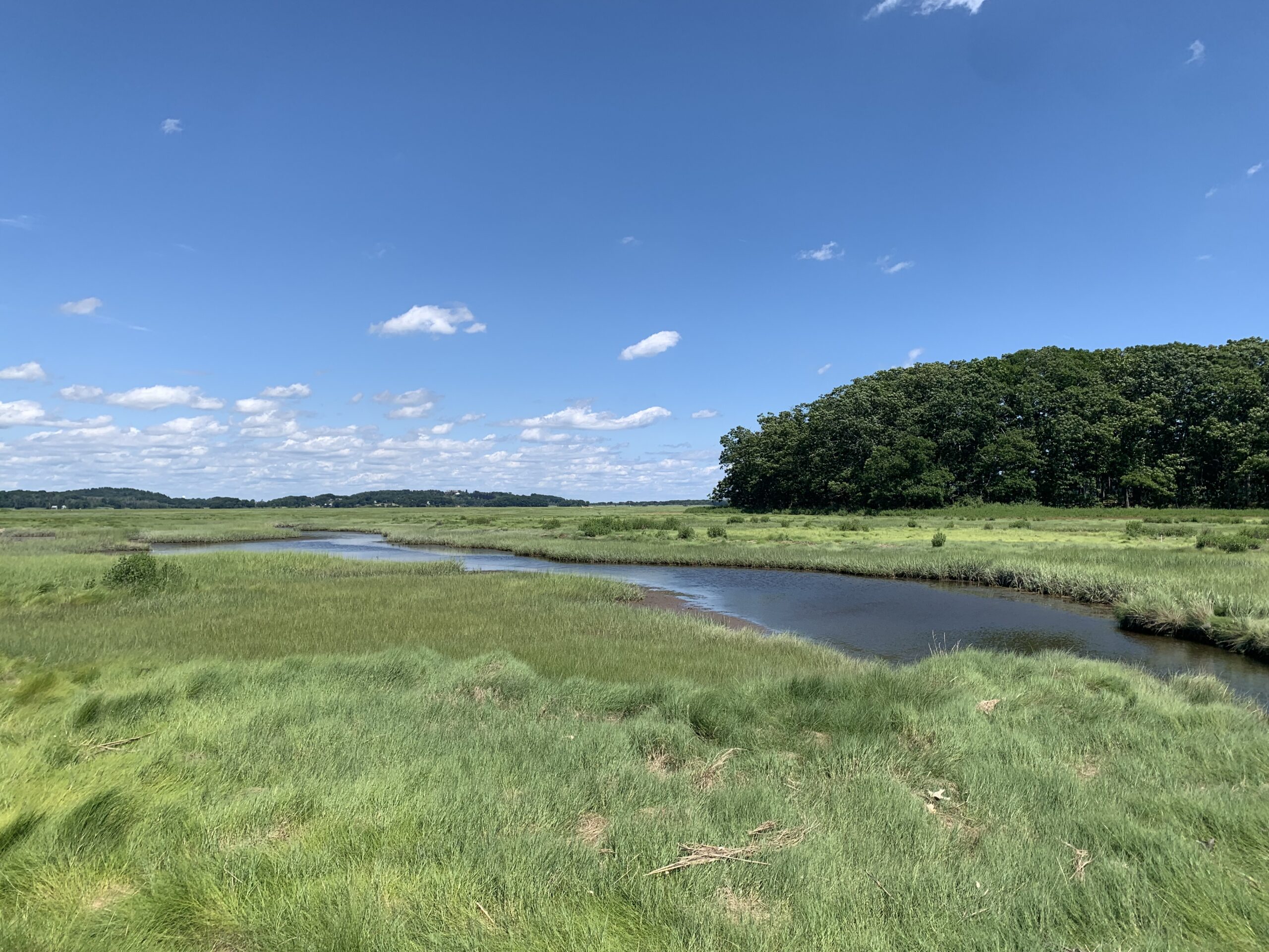 Water runs through marsh grass on the Great Marsh