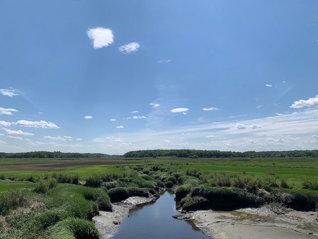 A stream flows through the Great Marsh