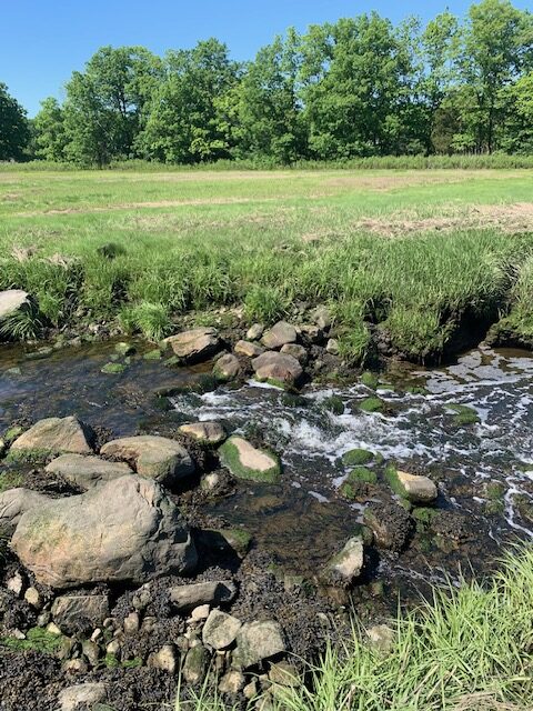 Water flows through a rocky stream amidst marsh grass on the Great Marsh