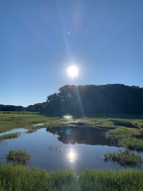 A body of water surrounded by green marsh grass on a sunny day within the Great Marsh