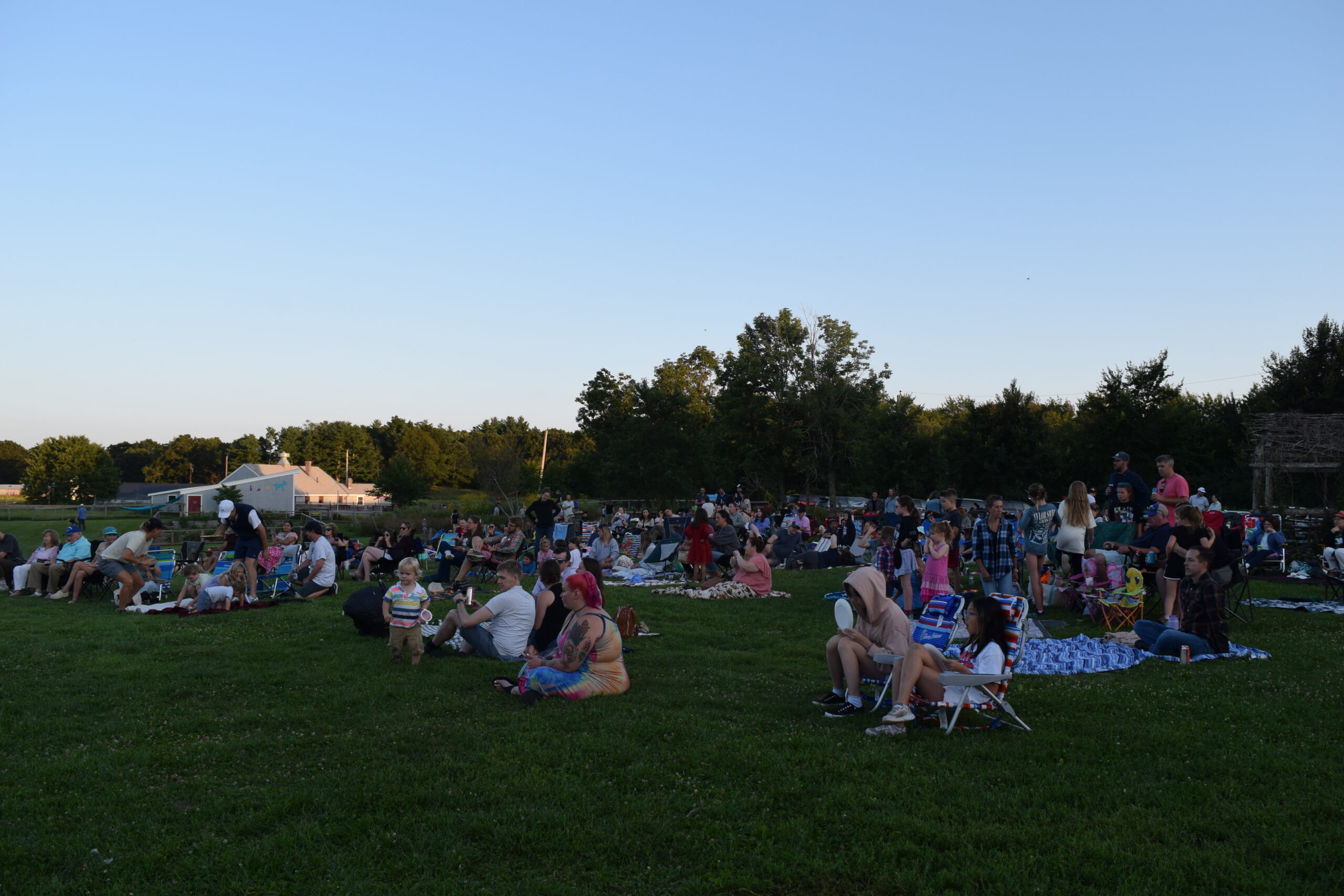 The crowd at Taylor and Tractors at Powisset Farm