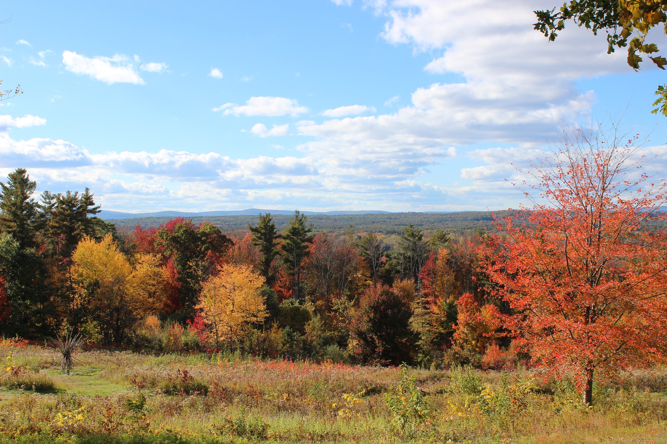 Overlook at Fruitlands Museum with fall foliage.