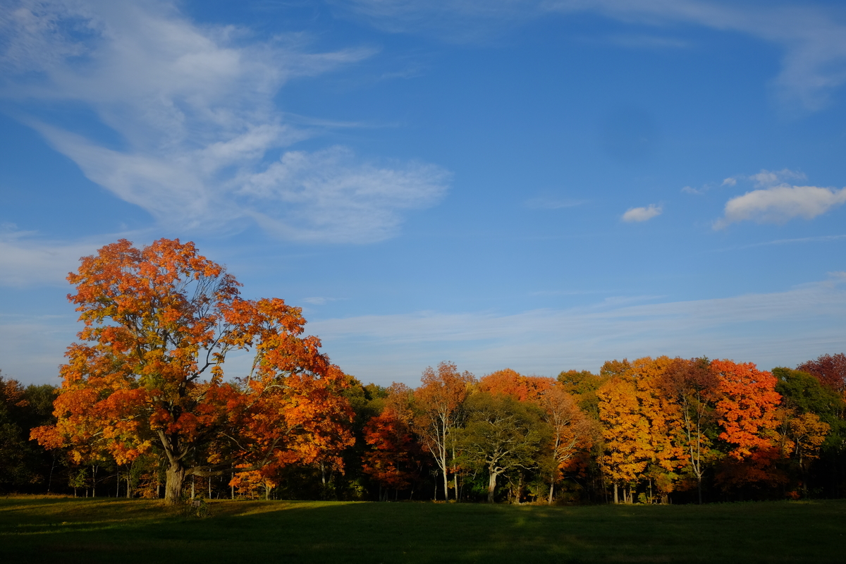 Fall foliage at Moose Hill Farm