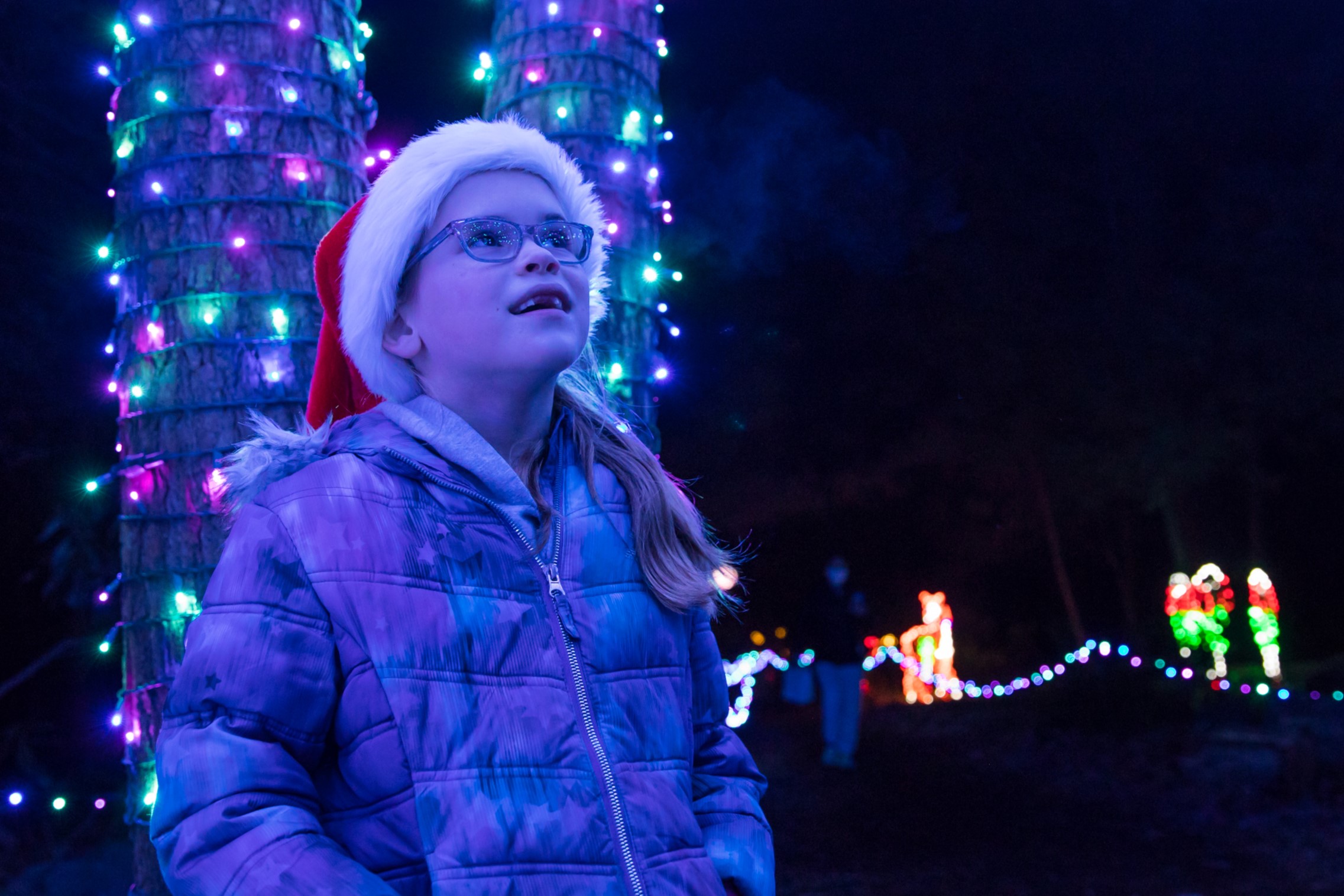 A child stares in awe at the decorations during Winterlights at the Bradley Estate.