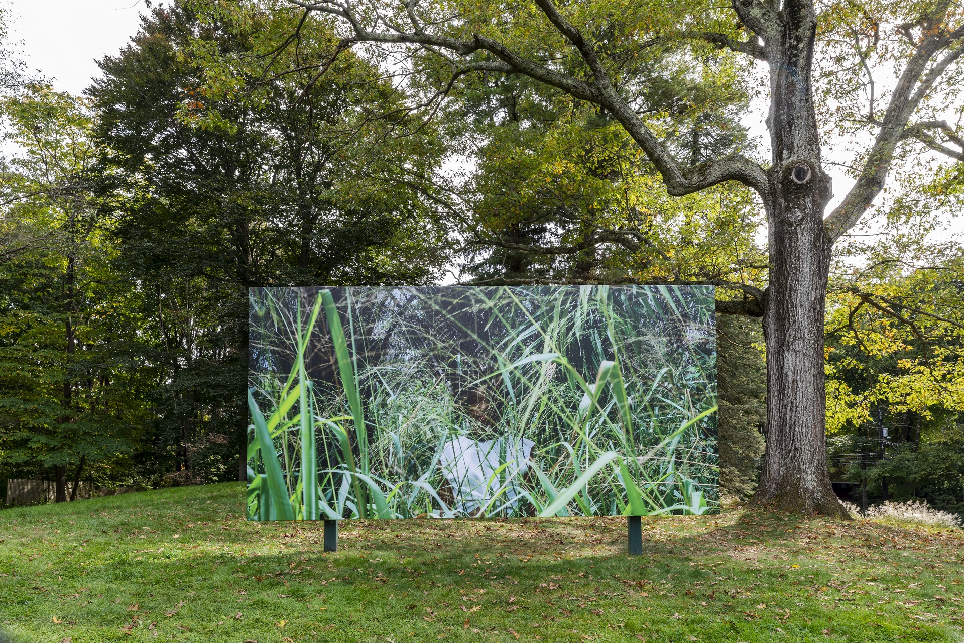 Sassa from Self-Portraits at deCordova Sculpture Park and Museum.