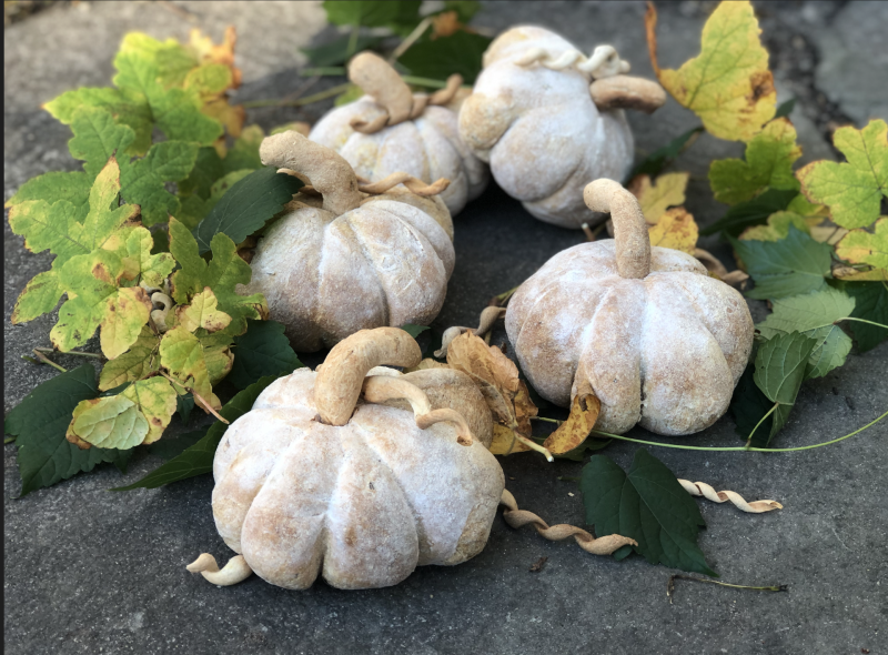 pumpkin bread