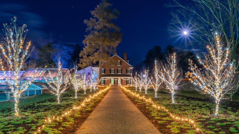 Witnerlights at Stevens-Coolidge