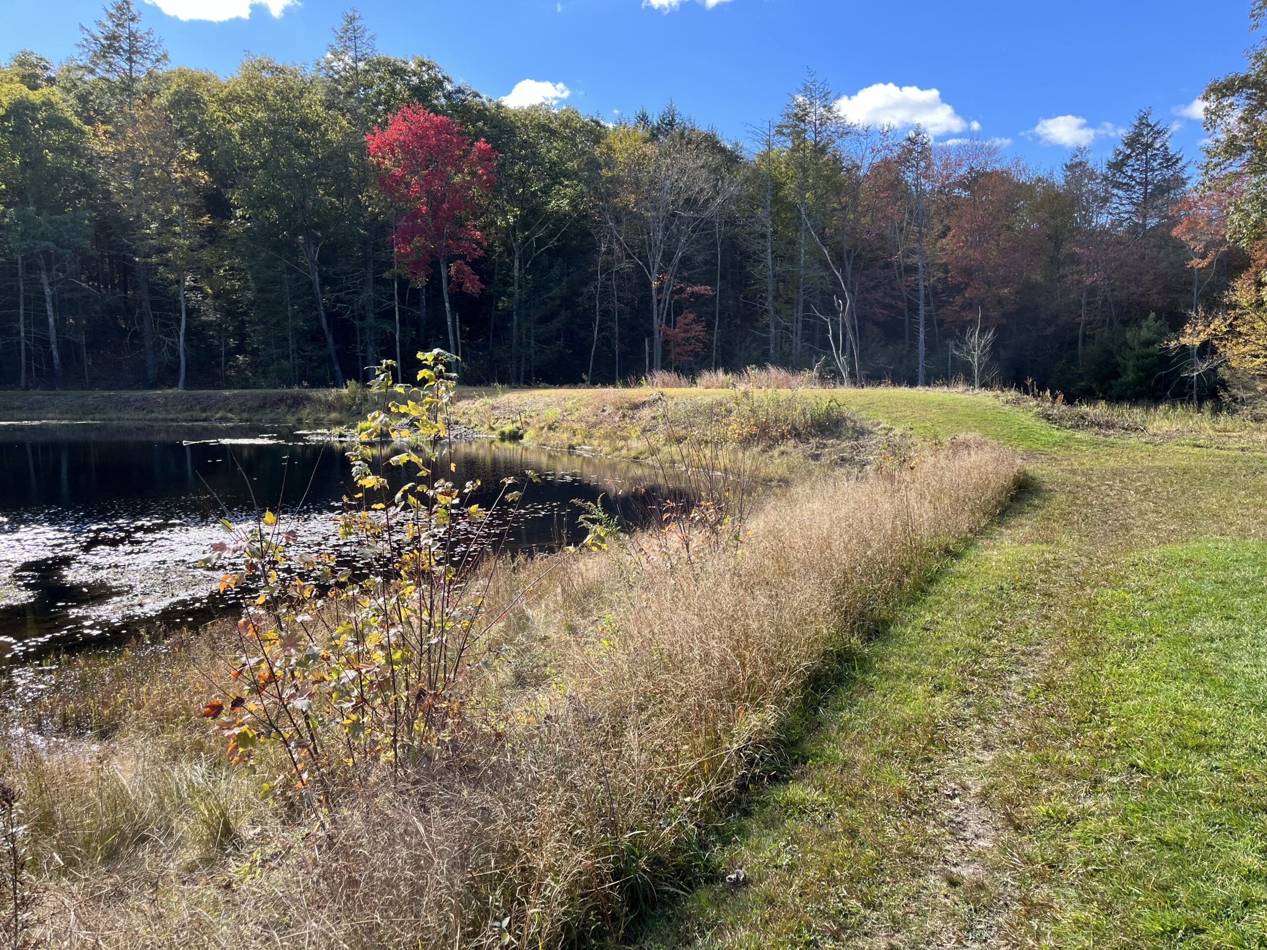 Lunden Pond Dam