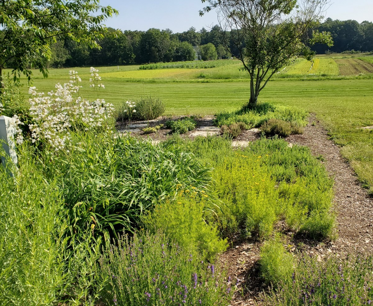 A garden at Powisset Farm