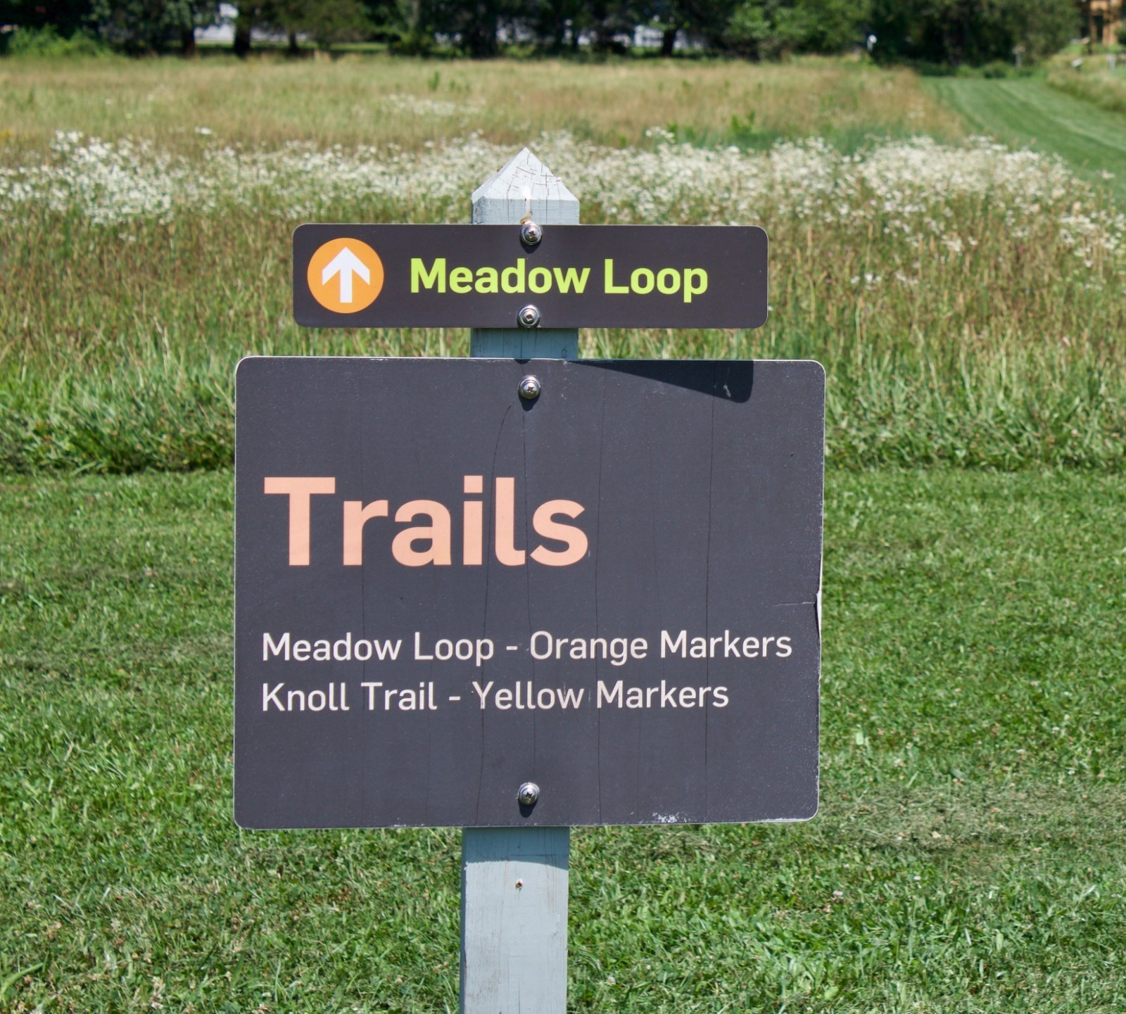 A trail sign for the meadow loop at Powisset Farm