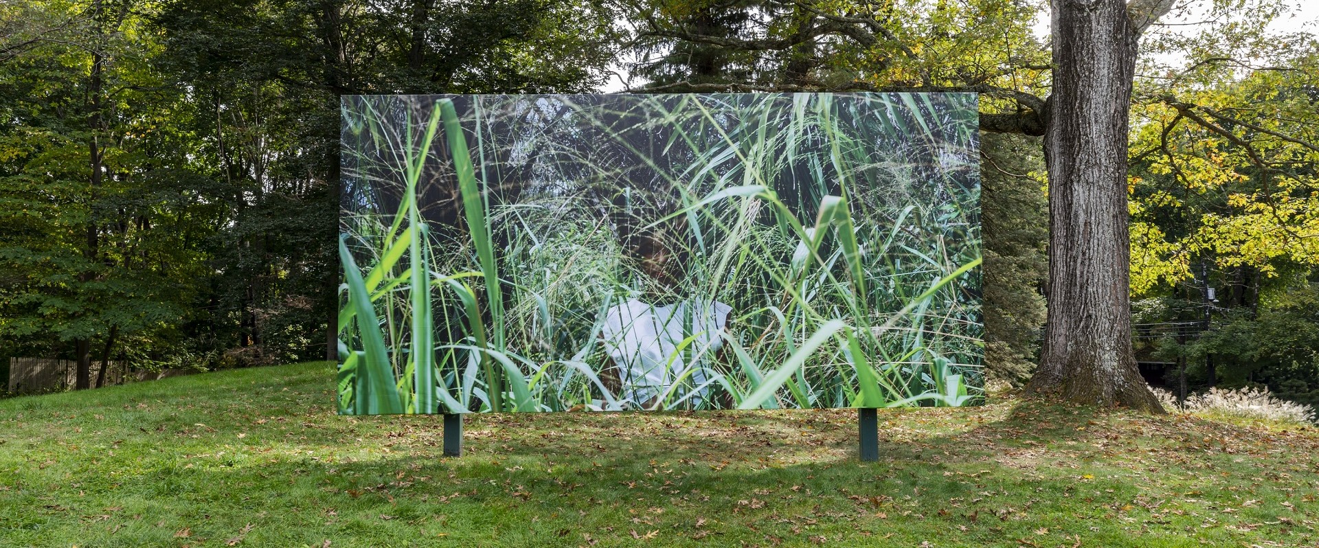 Sassa from Self-Portraits at deCordova Sculpture Park and Museum.