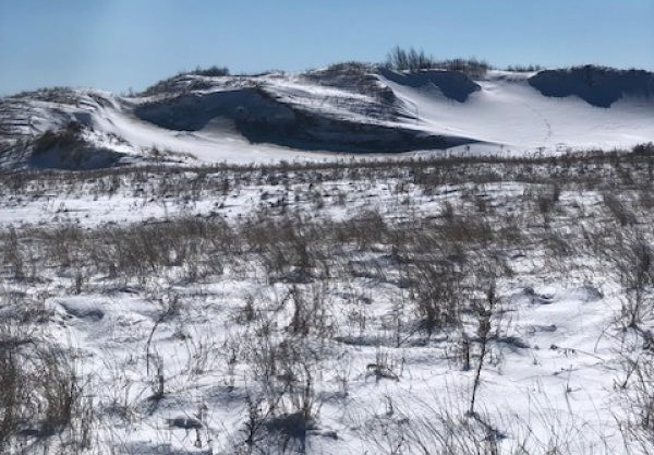 Winter Dunes