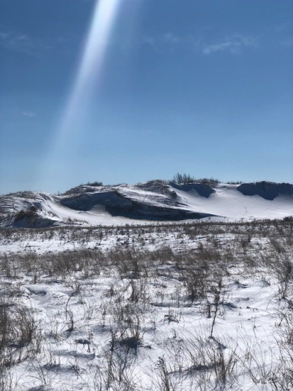 Winter Dunes