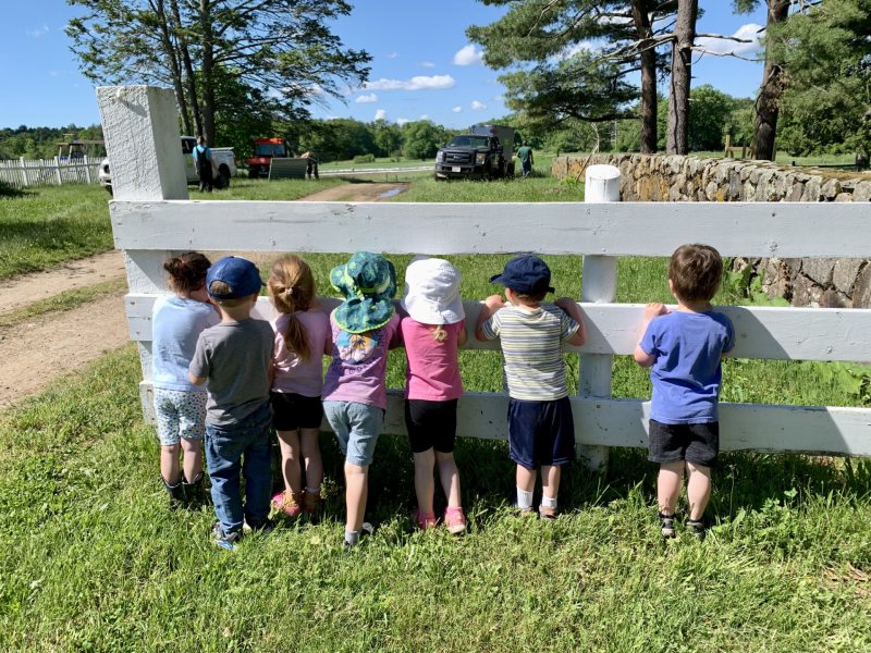 FIddleheads watching farmers