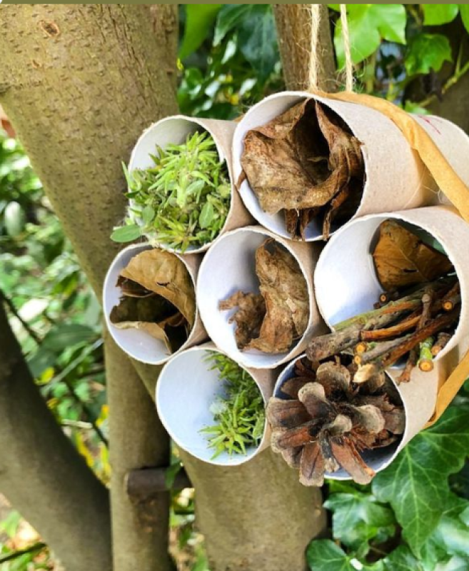 bug hotel