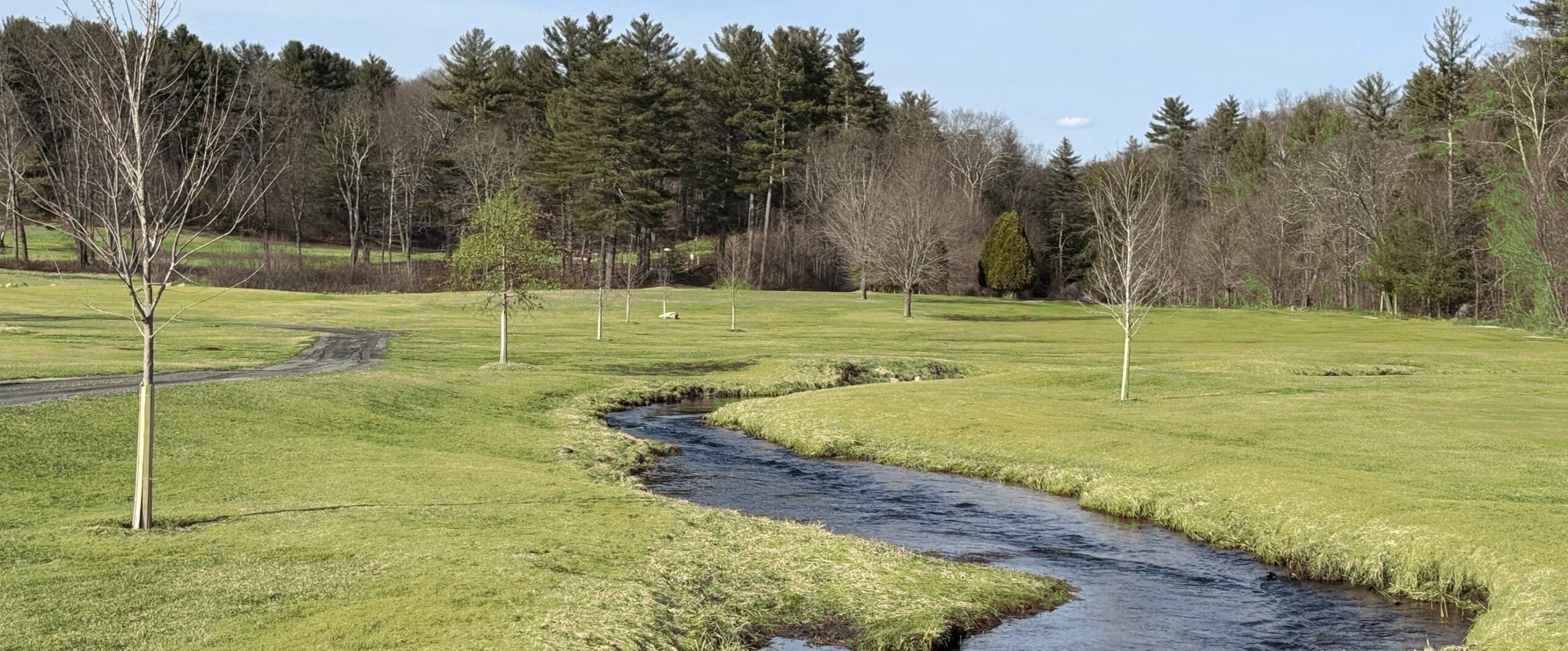 Beaver Brook with grass and trees in the background