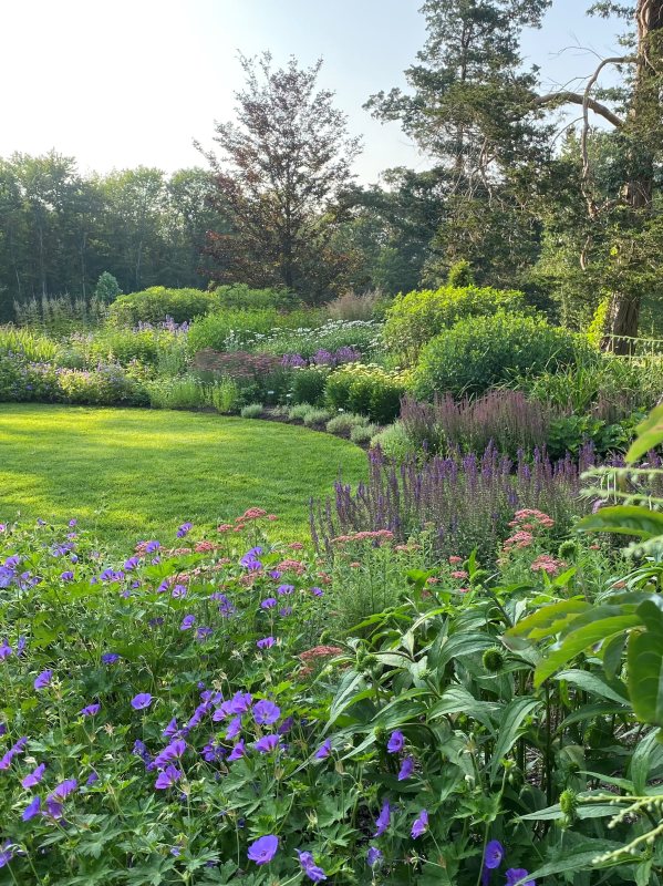 summer garden