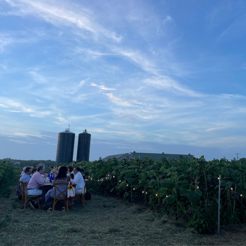 sunflower dinner