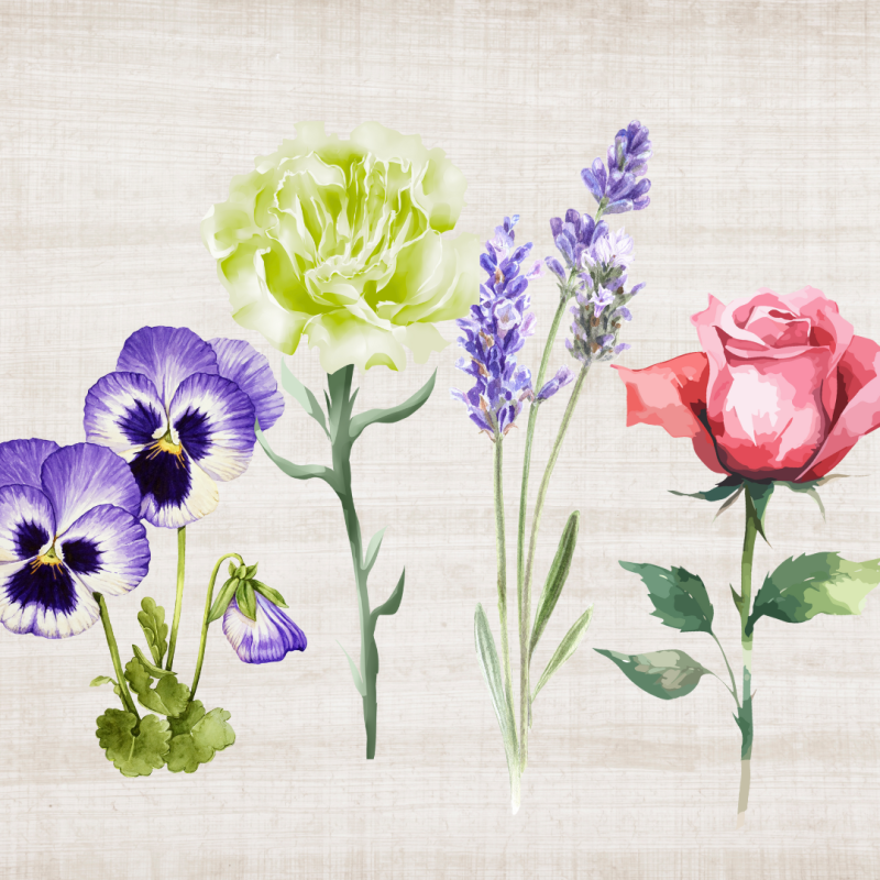 language of flowers