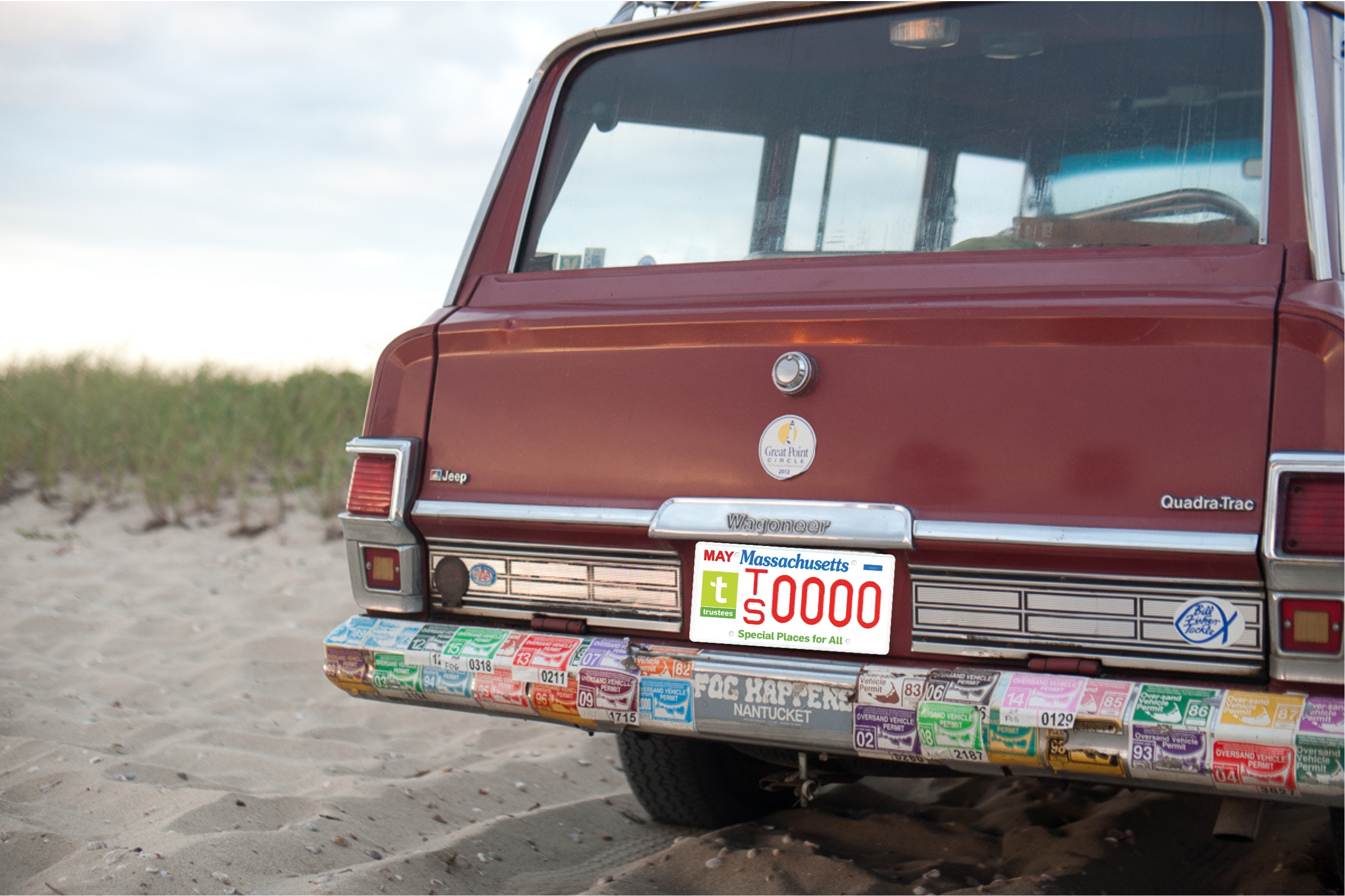 A Trustees specialty license plate appears on the back of a car.