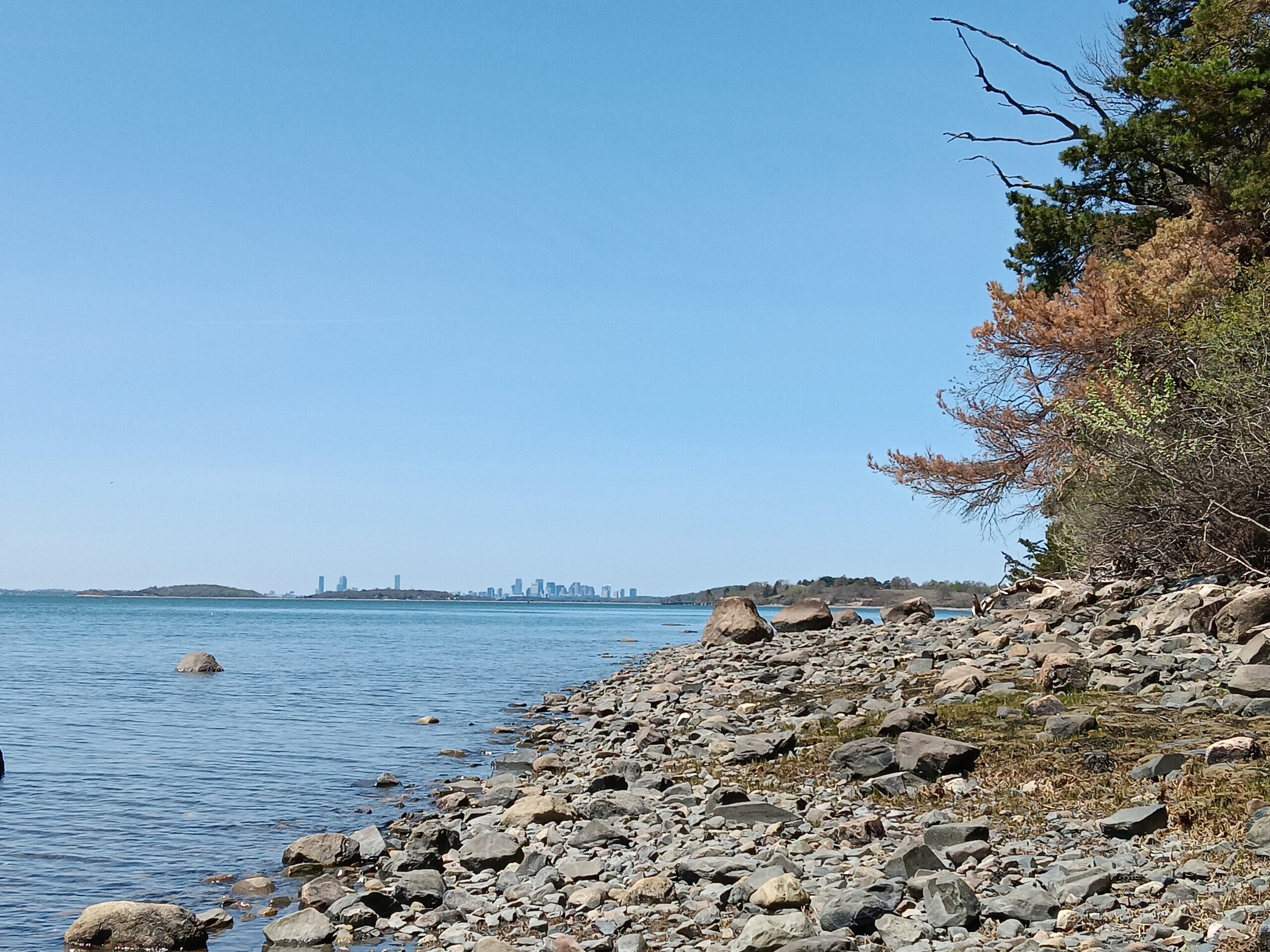 View of Boston skyline from World's End