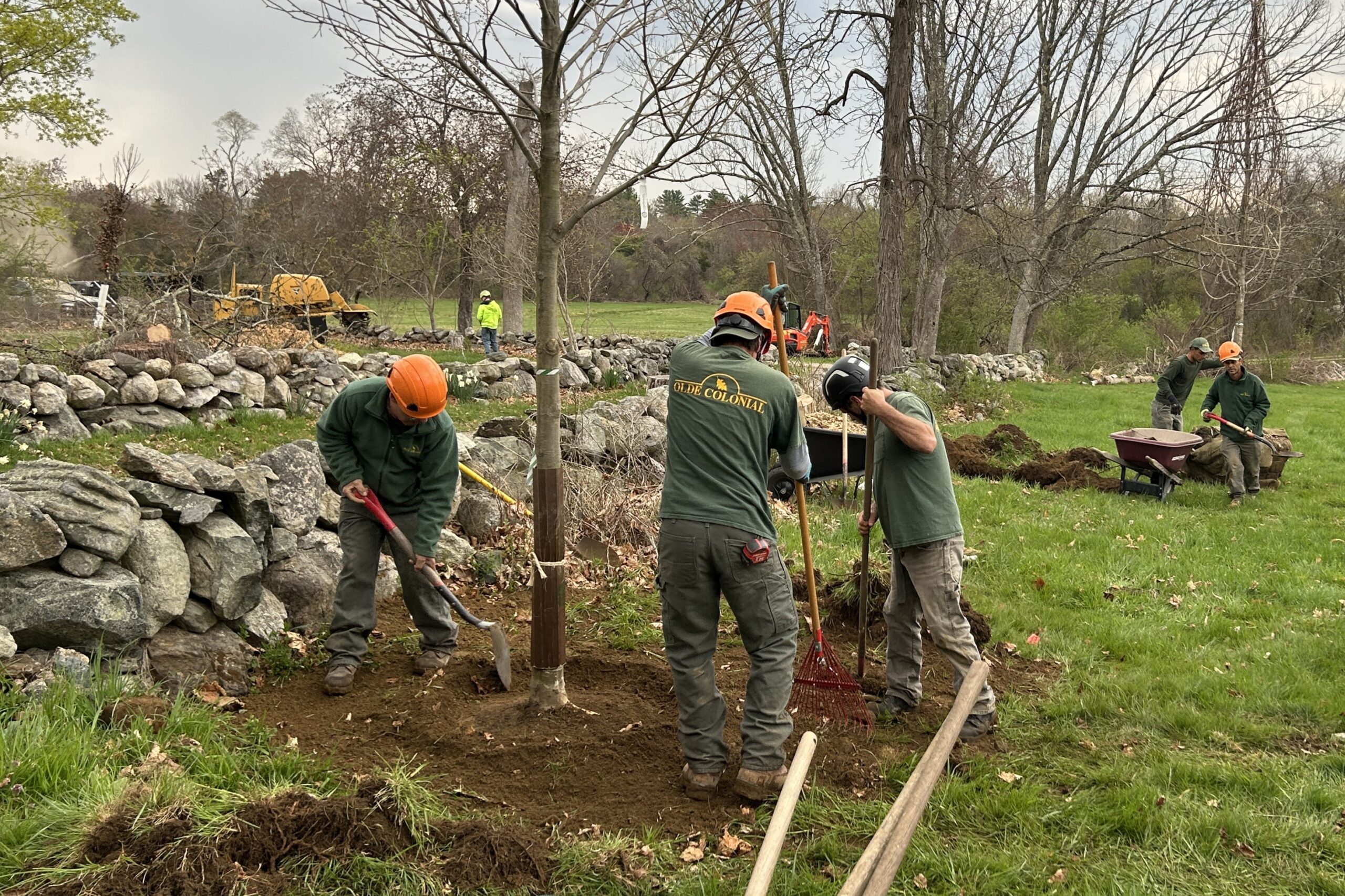 Mass Arborists Association Day of Service at Millborn Farm, Spring 2025