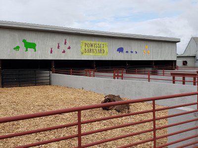 Powisset Open Barnyard