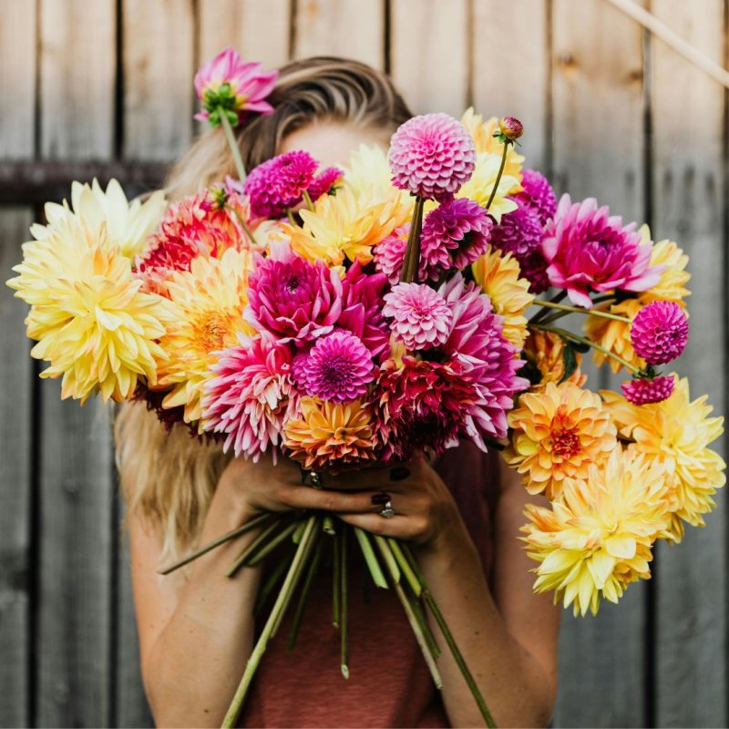 bouquet