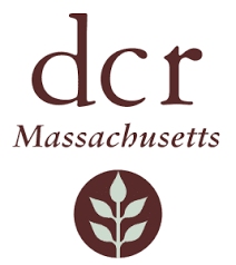 DCR