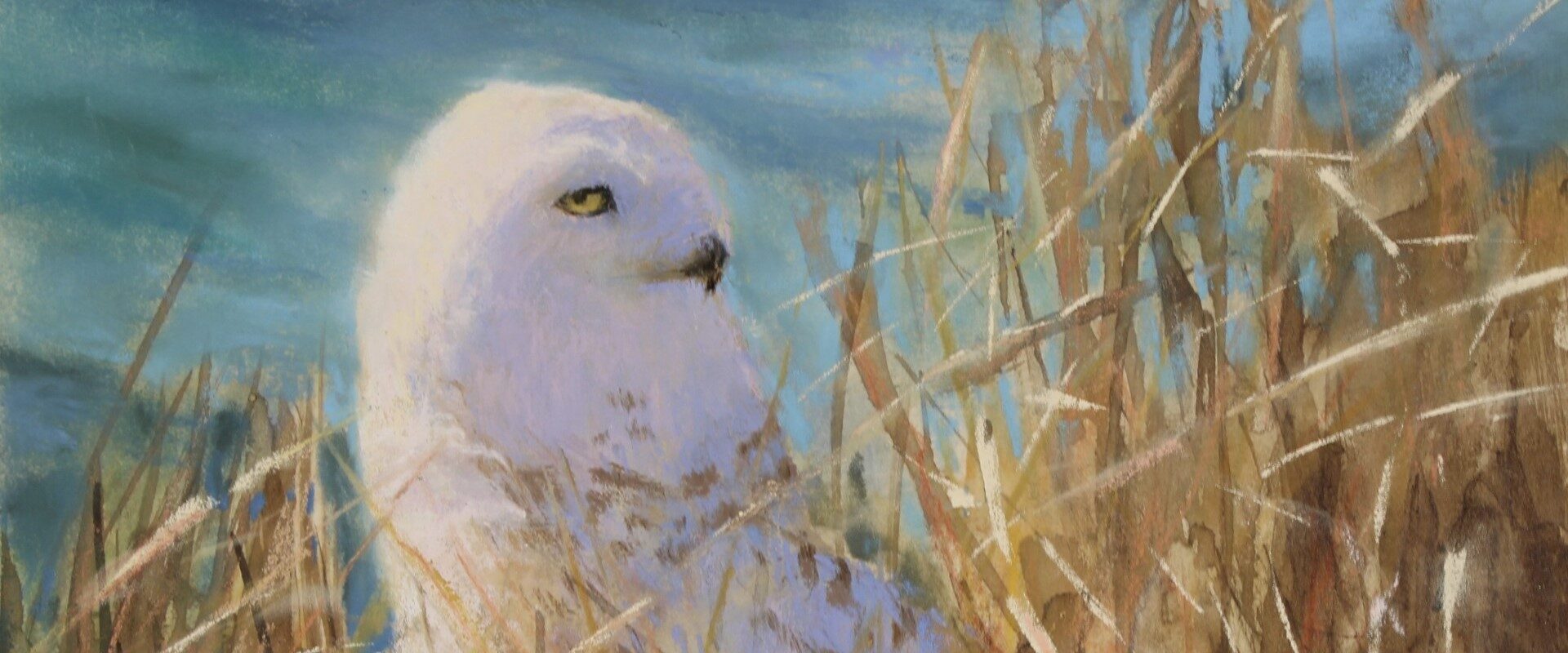 Lisa Regopoulos One-Woman-Pastel-Exhibit at Fruitlands Museum, 