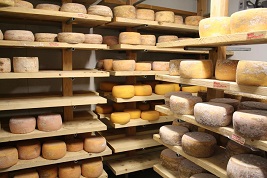 cheese cave