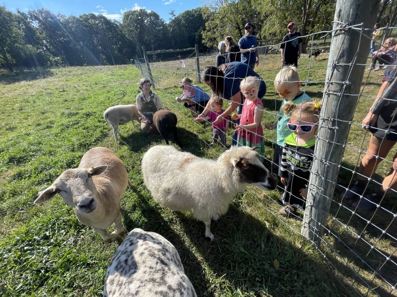 WRF barnyard
