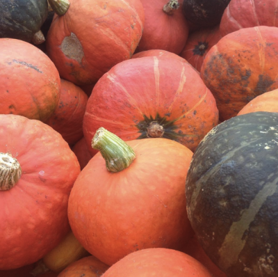 Squash