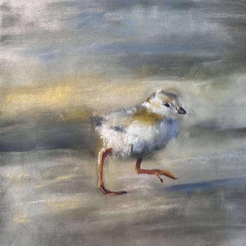 Tiny Steps Lisa Regopolus