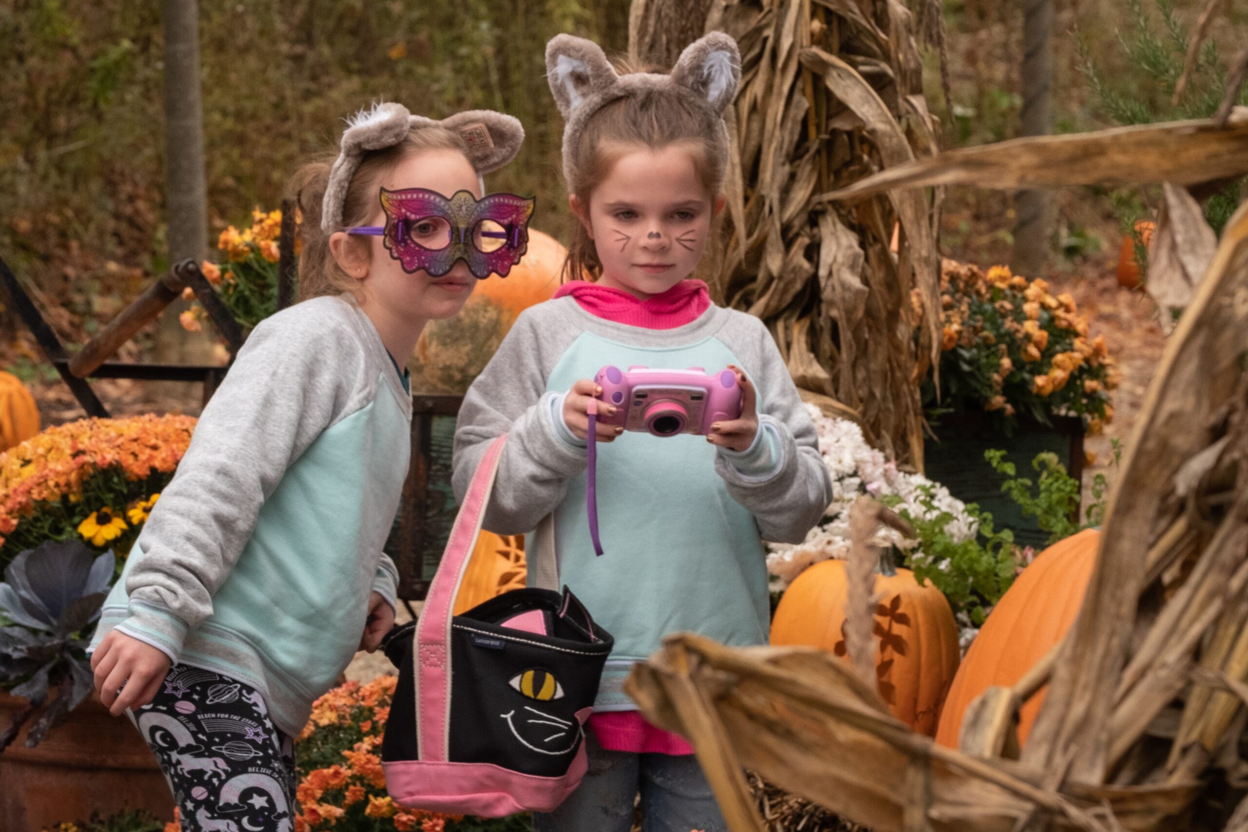 The Incredible Naumkeag Pumpkin Show 2021 in Stockbridge