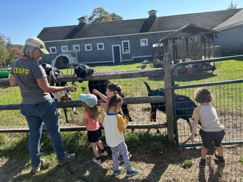 Learning with Livestock at Appleton Farms