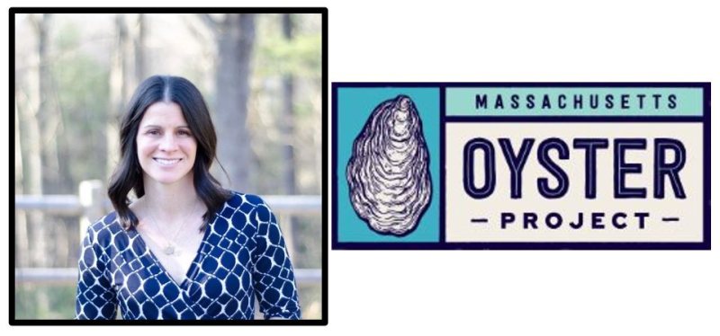 Mass Oyster Project