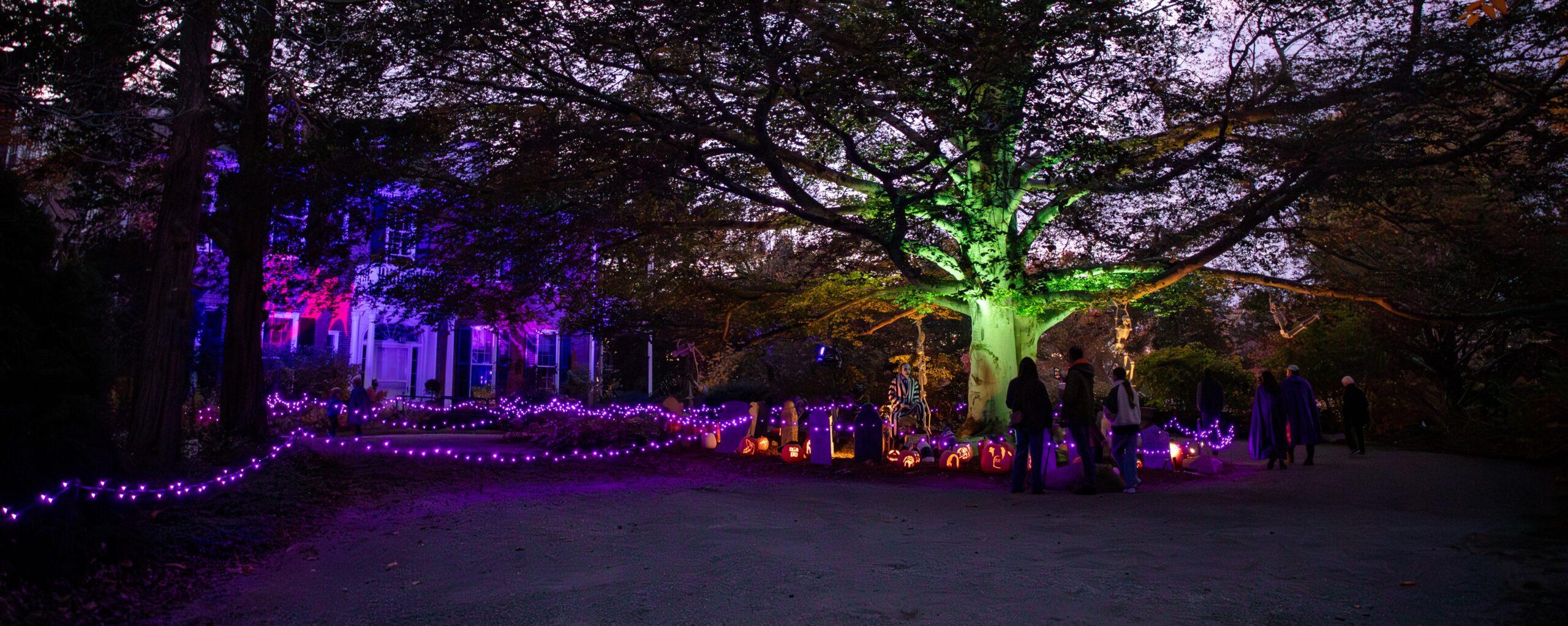2025 Halloween on the Hill at Long Hill in Beverly